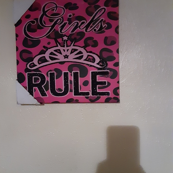 Monster High bedroom set - Picture 7 of 7